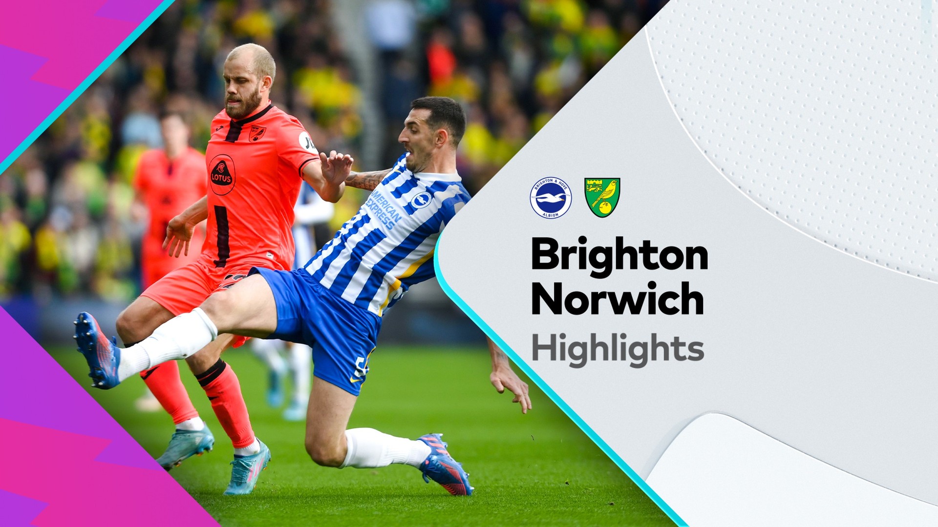 Brighton vs norwich